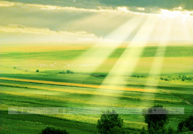 有機(jī)奶粉搭載母嬰加盟行業(yè)快車