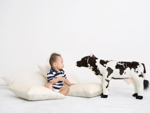 國內(nèi)的奶粉行業(yè)也存在一些亟待解決的問題。