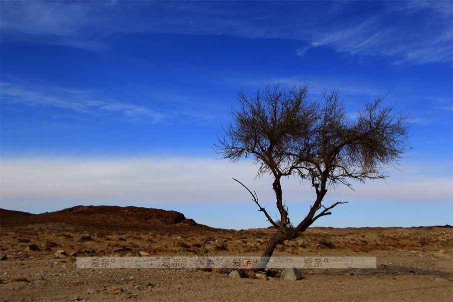 互聯(lián)網影響，實體零售店遭遇寒冬，母嬰實體店卻屹立不倒