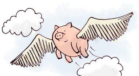 二胎政策將是母嬰行業(yè)的一個新風(fēng)口，雷軍曾說：“站在風(fēng)口上，豬都能飛”。