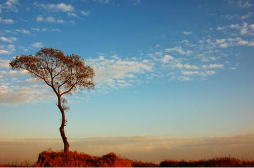 社會(huì)的發(fā)展日異月更，在一個(gè)信息高速發(fā)展的時(shí)代，母嬰加盟店能否長(zhǎng)久立足