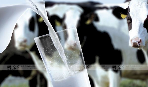 乳制品價(jià)格持續(xù)波動(dòng)，企業(yè)應(yīng)做好風(fēng)險(xiǎn)預(yù)估