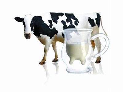 消費(fèi)者不信賴國產(chǎn)牛奶，時隔多年，現(xiàn)在的國產(chǎn)牛奶是一個什么水平呢？